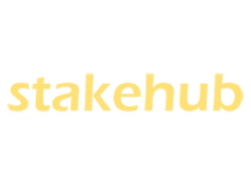 StakeHub: Pioneering Wealth Growth Through Transparent and Balanced Investment Strategies