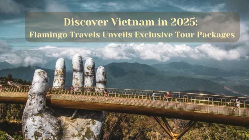 Discover Vietnam in 2025: Flamingo Travels Unveils Exclusive Tour Packages