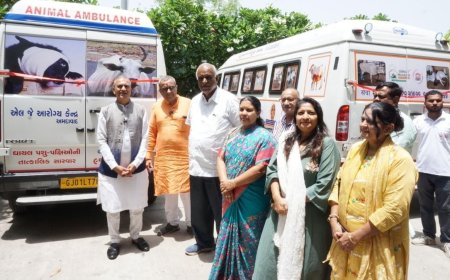 Samasta Mahajan Inaugurates 600-Animal Shelter at Shri Viramgam Khodadhor Panjrapol, Oganvid