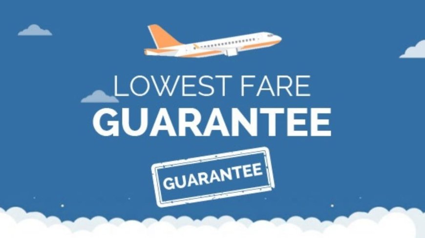 Zordo Takes Over FareArena, Promises Better Deals on Domestic and International Flights