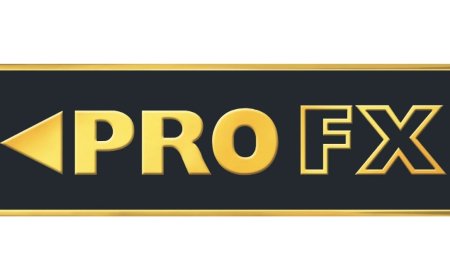 PRO FX Tech Limited launches Rs 40.30 crore IPO