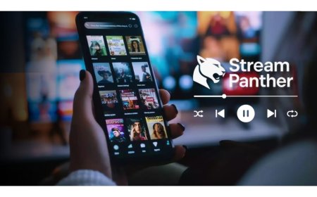 How Does The Stream Panther Get Hollywood’s Elite to Spill Industry Tea?