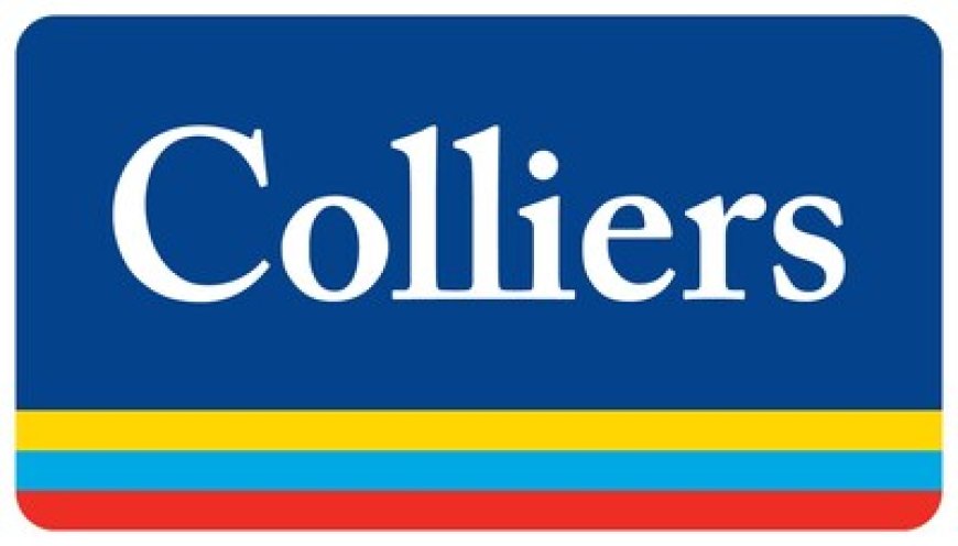 Technology sector anchors ~40% office leasing while global enterprises expand India operations: Colliers
