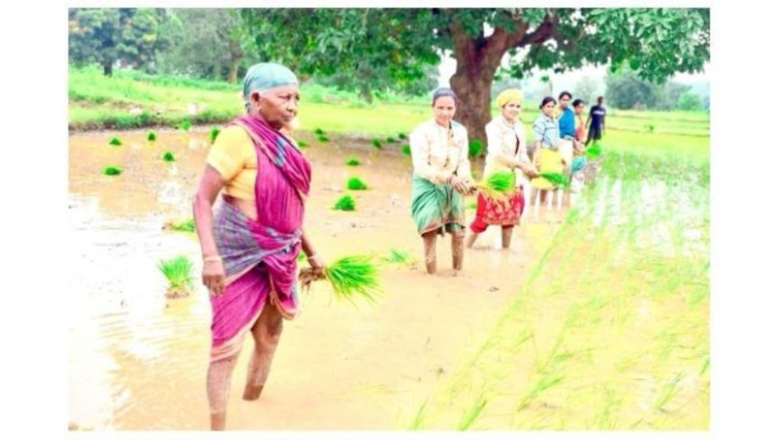 Vedanta Lanjigarh Scales Up System of Rice Intensification (SRI) in Kalahandi, Under Project Sangam