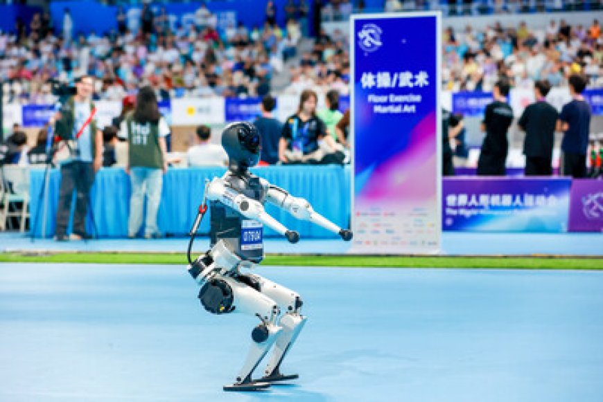 Noetix Robotics Wins Two Golds and One Silver at Global Humanoid Robotics Games