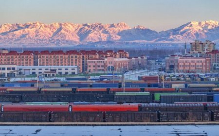 Xinjiang marks 70 years of progress