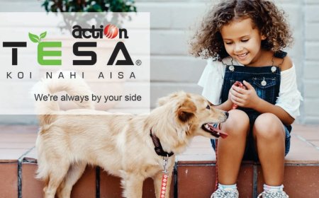 Action TESA leads the transition from plywood to engineered wood solutions, with innovations like Moist Master, HDHMR, and BOILO powering the change