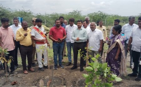 NTT DATA and SankalpTaru Foundation Transform 7-Acre Barren Land into Thriving Forest in Coimbatore