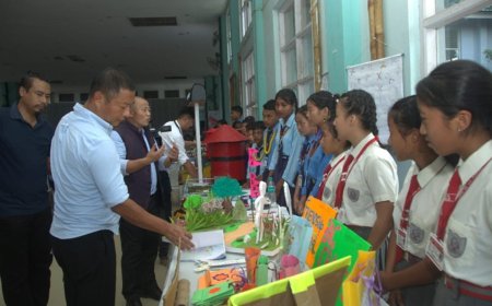 Nagaland Celebrates Creativity and Innovation in Classrooms at the Project-Based Learning (PBL) Fair 2025