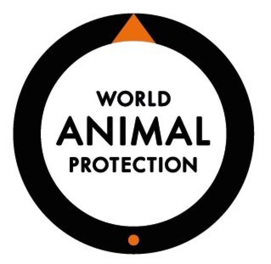 Demand Change, Make Choices that Stop Animal Suffering, and Move the World to Protect Animals