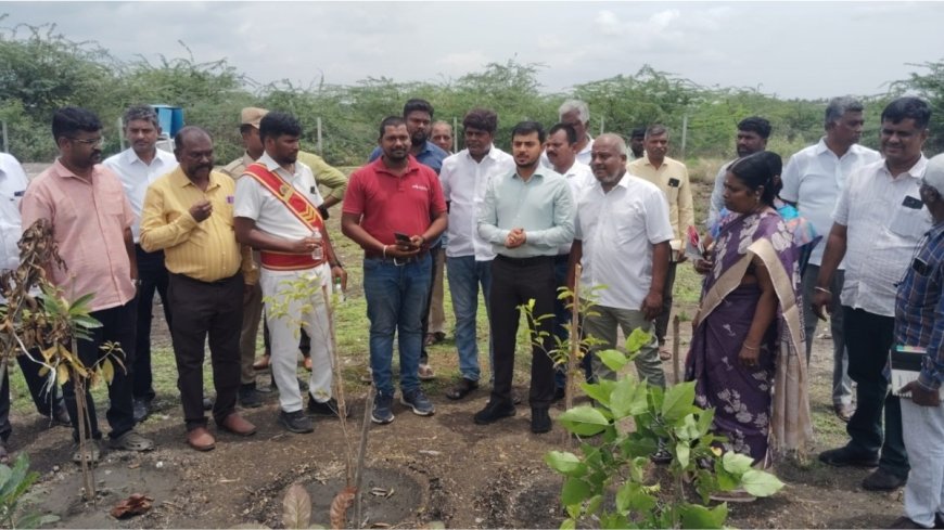 NTT DATA and SankalpTaru Foundation Transform 7-Acre Barren Land into Thriving Forest in Coimbatore