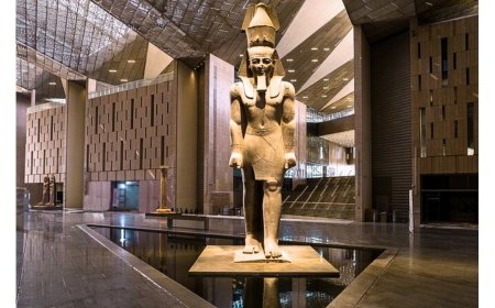 Embassy of Egypt Celebrates the Opening of the Grand Egyptian Museum with a Grand Gala in New Delhi
