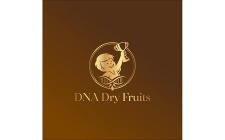 Where Tradition Meets Premium Quality: DNA Dry Fruits Redefines Everyday Luxury and Corporate Gifting