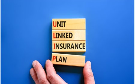 What Is a Unit Linked Insurance Plan and How Does It Build Wealth Over Time