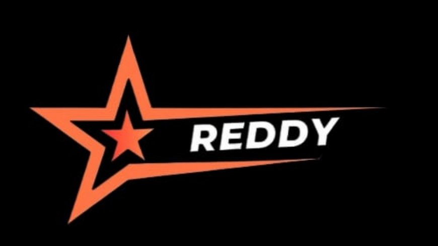 Building Brands Through Insight and Innovation: An Exclusive Interaction with the Team Behind Reddy Marketing Agency